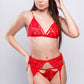 Red lace lingerie set with strappy bra and garter belt, perfect for Valentine’s Day or honeymoon nights.